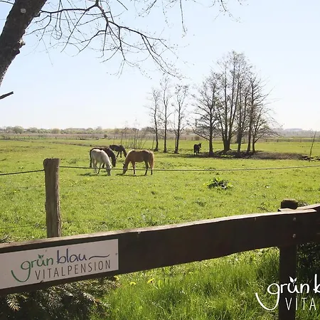 Apartmán Gruenblau Relax & *