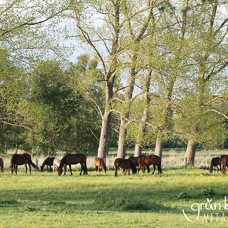 Apartmán Gruenblau Relax &